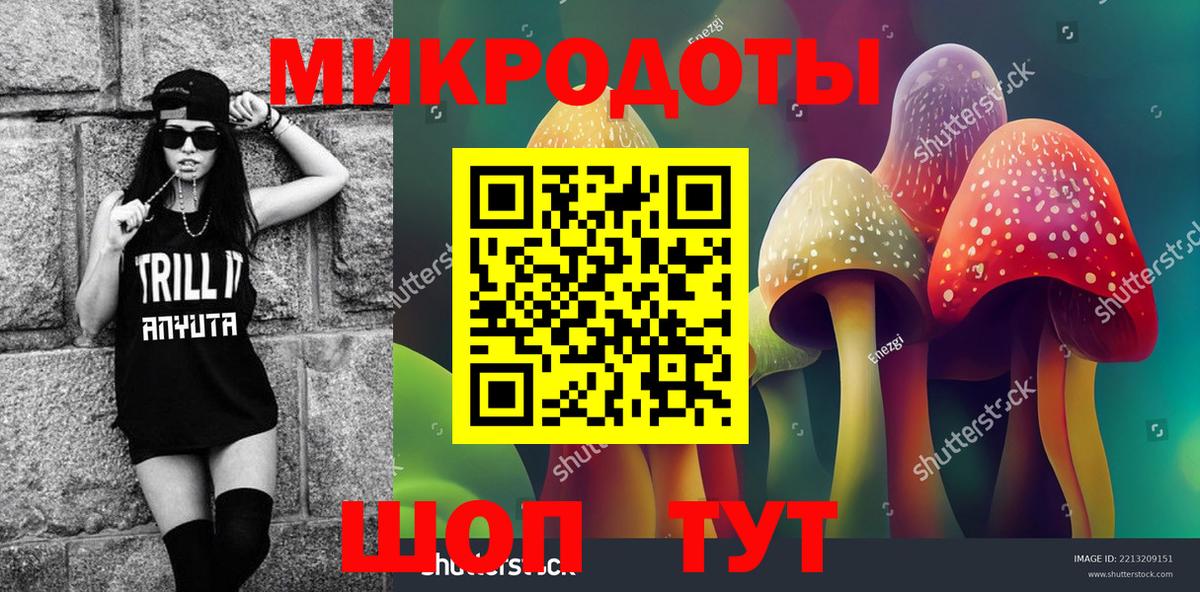 Псилоцибиновые грибы Psilocybine cubensis Киров